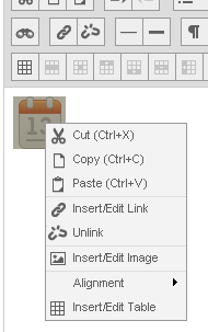 Blackboard 9.1 Edit Image