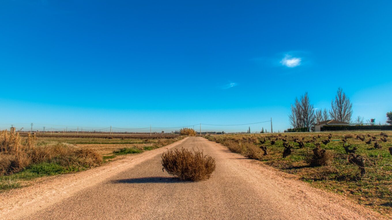 Tumbleweed